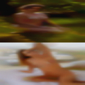 Best pussy Marinette